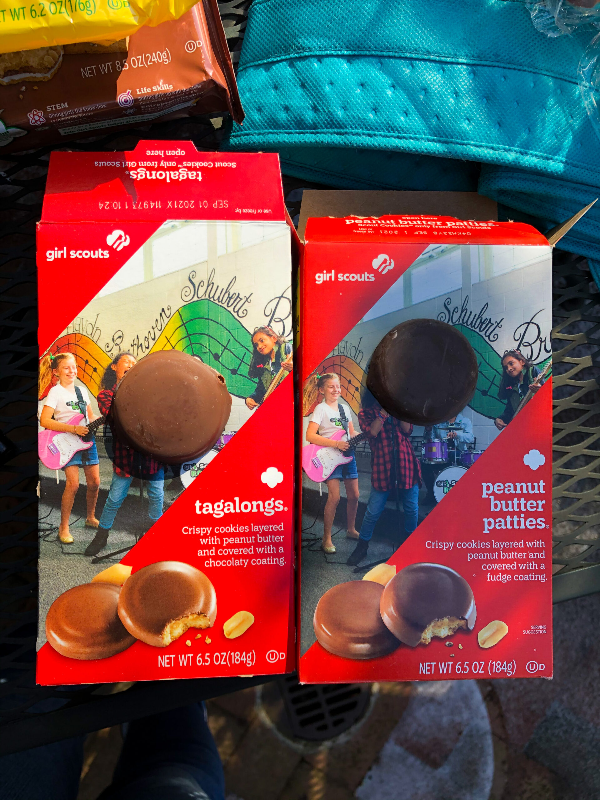 Tagalongs vs Peanut Butter Patties Tagalongs vs Peanut Butter Patties | The Girl Scout Cookie Comparison Test